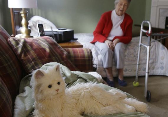 robot cat for elderly